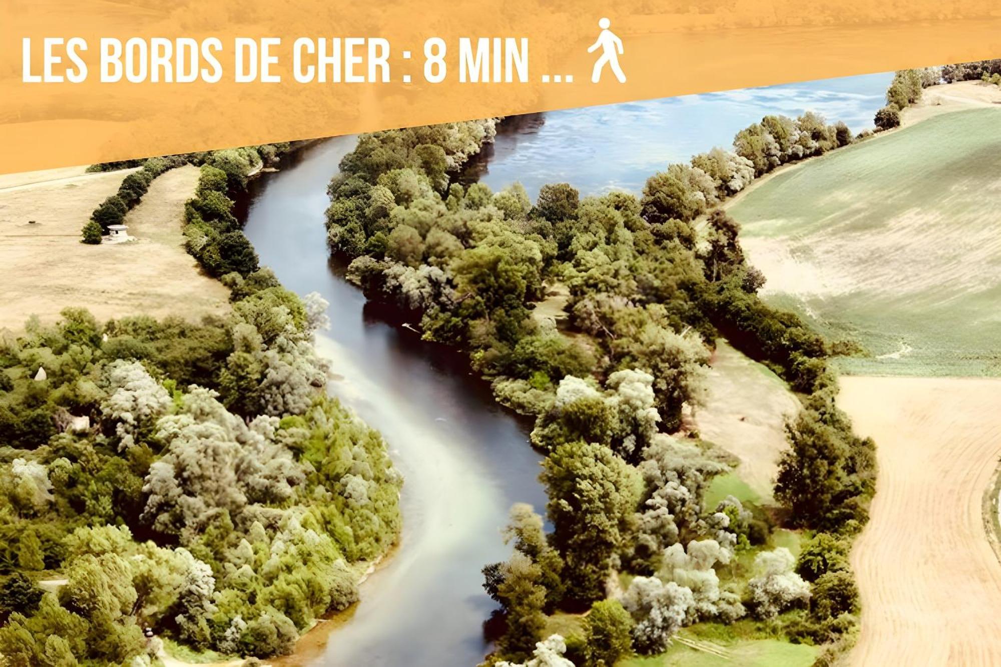 Le Wild Heaven - Homy Appartement